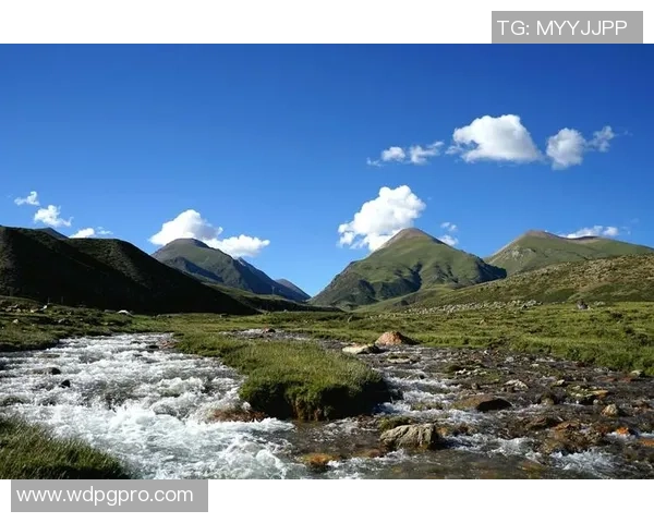 问鼎app官方下载-问鼎APP官方下载指南，开启你的智慧生活之旅-问鼎app官方下载